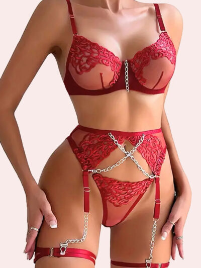 Belleza Lingerie Wired Net Bra Set – 1042