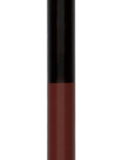 Color Icon Lipliner Pencil
